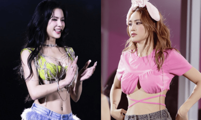 Diệp Lâm Anh đã làm gì Lan Ngọc mà bị chỉ trích đến mức này?