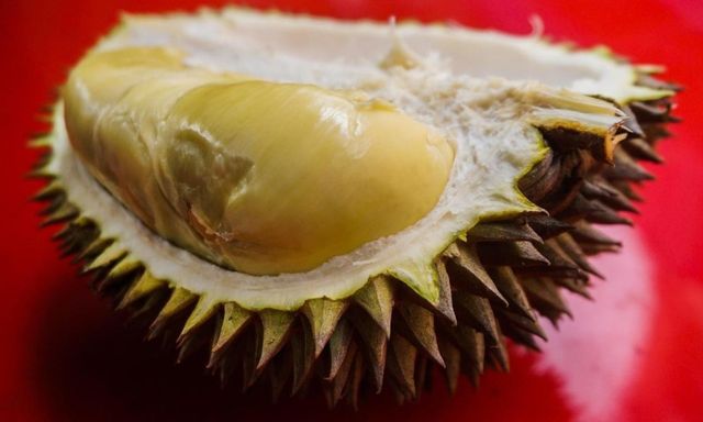 Thêm một quốc gia Đông Nam Á được chấp thuận xuất khẩu sầu riêng sang Trung Quốc