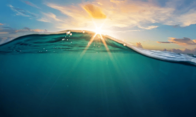 Trung Quốc lại khiến thế giới choáng ngợp: Tuyên bố đã tạo ra vật liệu dạng xốp, nhỏ hơn sợi tóc, biết đi săn ‘kho báu’ dưới nước