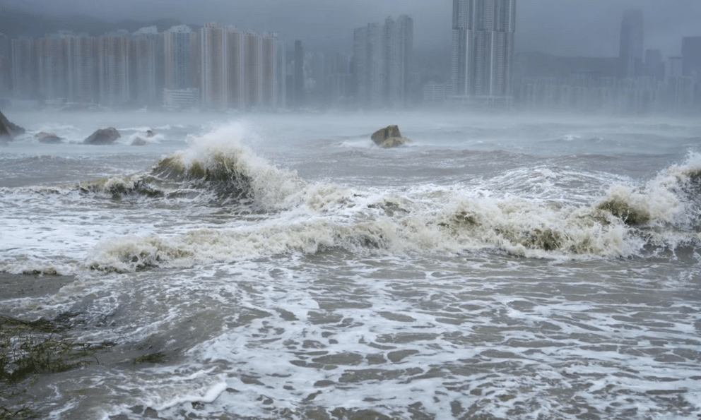 Bắt 4 đối tượng đưa con nhỏ đi ngắm sóng biển vào thời điểm bão Ragasa đổ bộ: Có thể ngồi tù 14 ngày