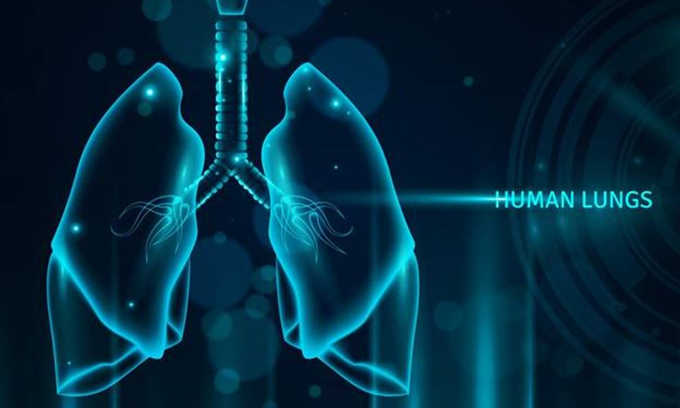 Thời tiết thất thường, thực hiện ngay 7 cách đơn giản giúp phổi thải độc tự nhiên ngay tại nhà