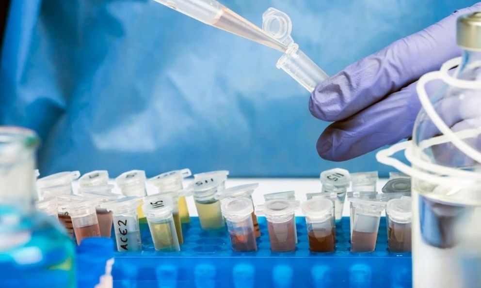 WHO báo động loại virus tái xuất sau 30 năm, gây liệt vĩnh viễn hoặc tử vong, đặc biệt ở trẻ em dưới 5 tuổi