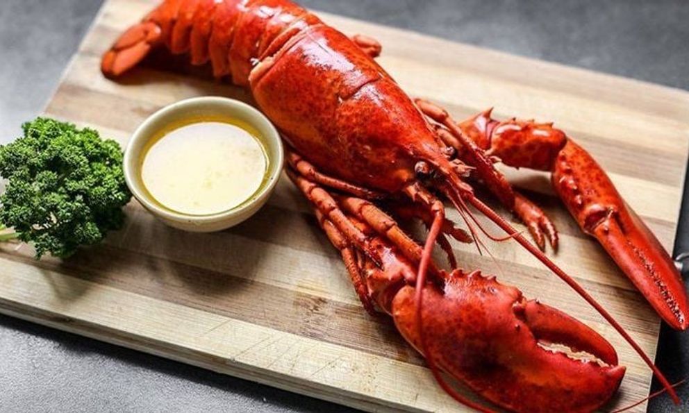 Ăn nhiều tôm hùm có thể chữa bệnh trầm cảm