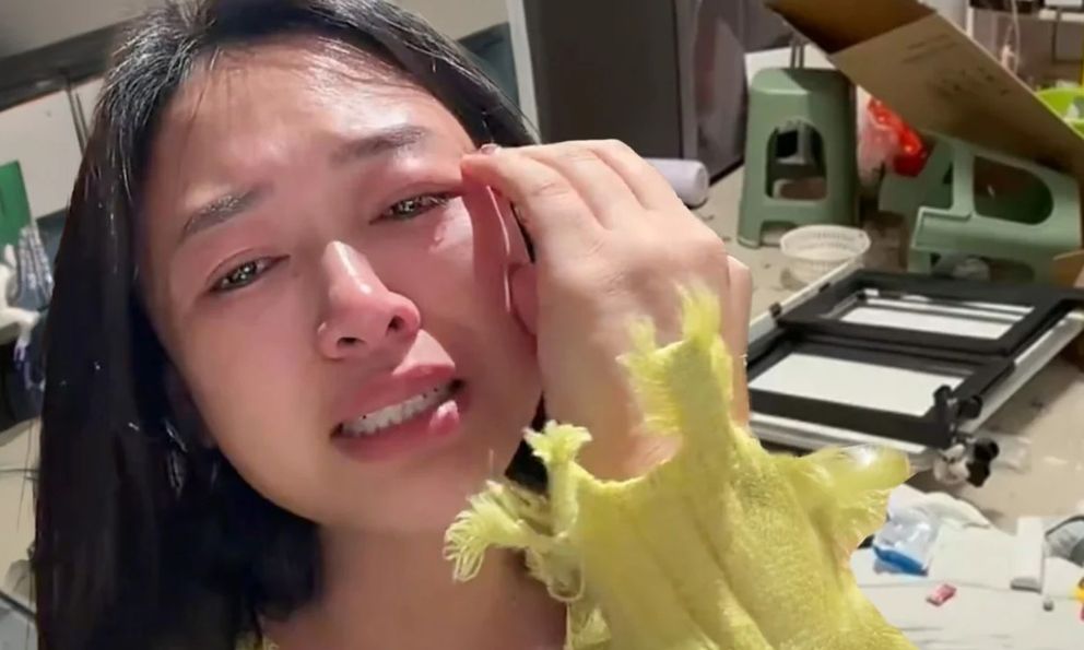 Ở nhà làm nội trợ, người phụ nữ bị chồng bạo lực vì dám mua máy rửa bát giá 5 triệu mà không xin phép