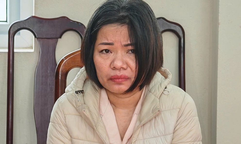 Vụ nữ giúp việc bạo hành cụ bà 82 tuổi ở Hà Nội: Đối tượng từng lĩnh án 6 tháng tù vì tội trộm cắp