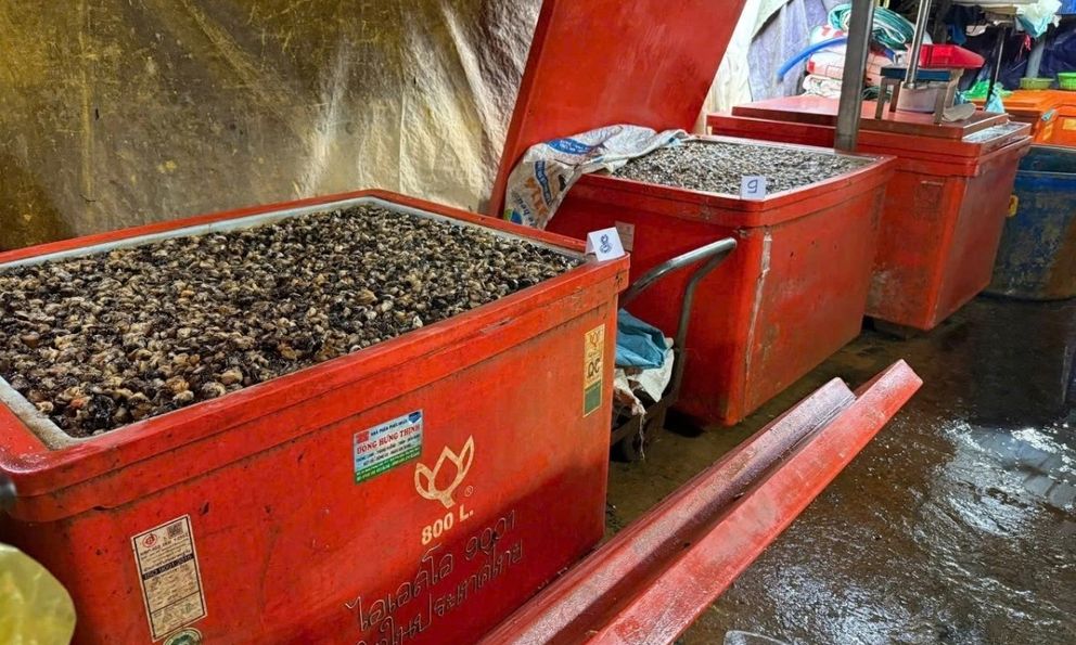 Vụ 500 tấn “thủy tinh lỏng” ngâm ốc bươu: Người ăn có thể bị tổn thương như… bỏng hóa học