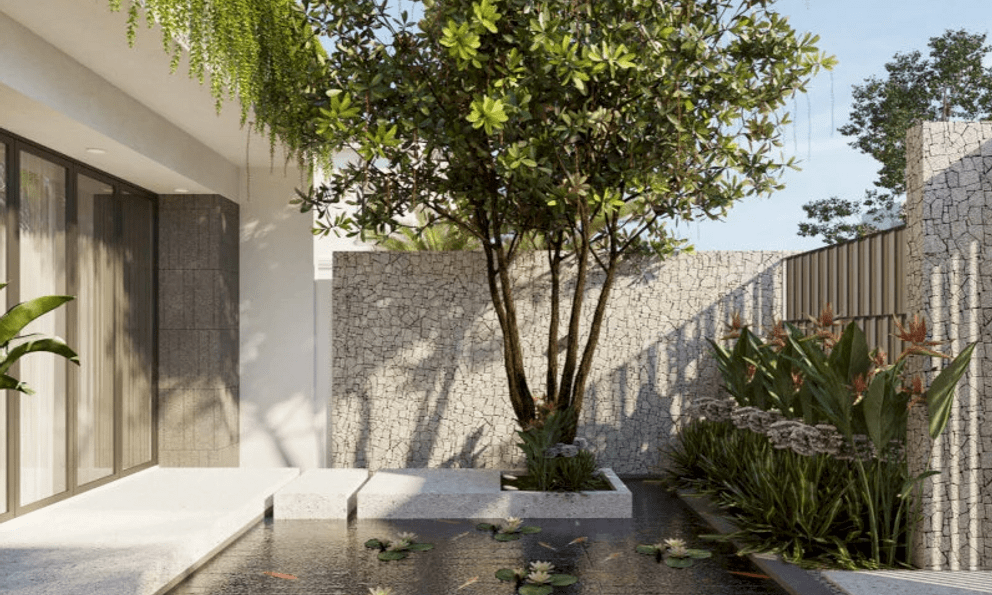 4 loại cây may mắn nên trồng trước sân nhà, gia đình không giàu sang cũng trở nên quyền quý