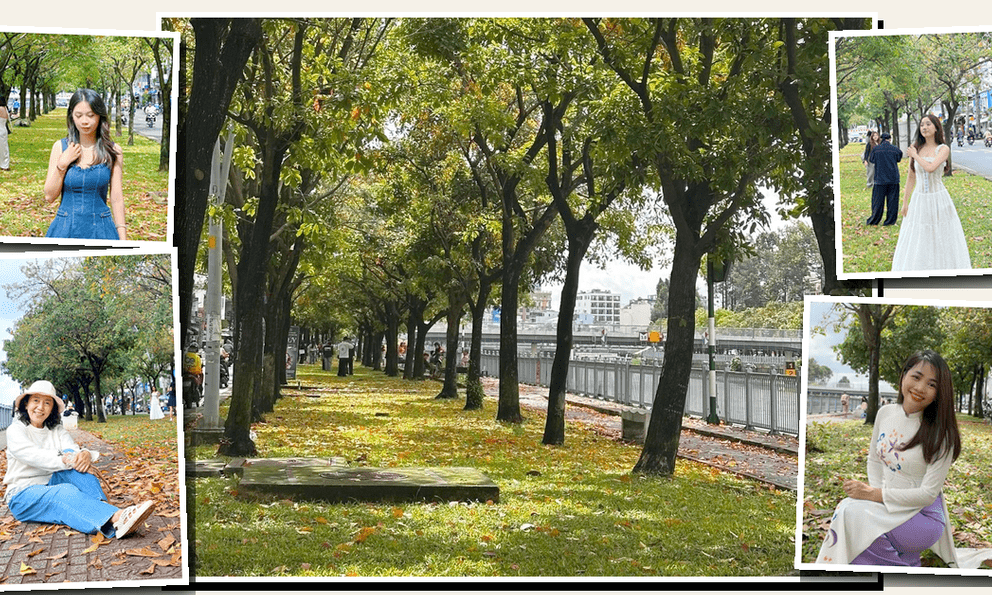 Dù trời âm u, nhiều người vẫn dậy sớm trang điểm, diện áo dài đến ‘con đường mùa thu’ ở TP.HCM chụp ảnh