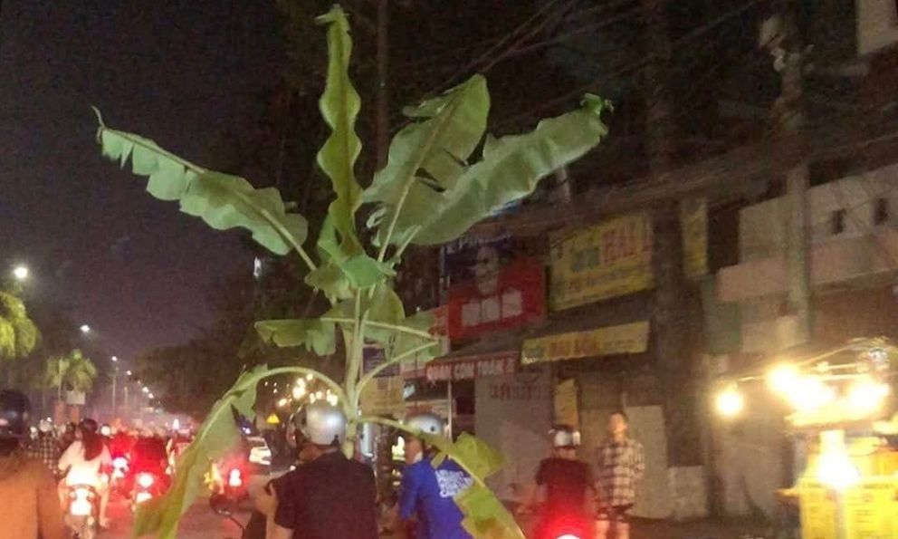1001 kiểu đi 