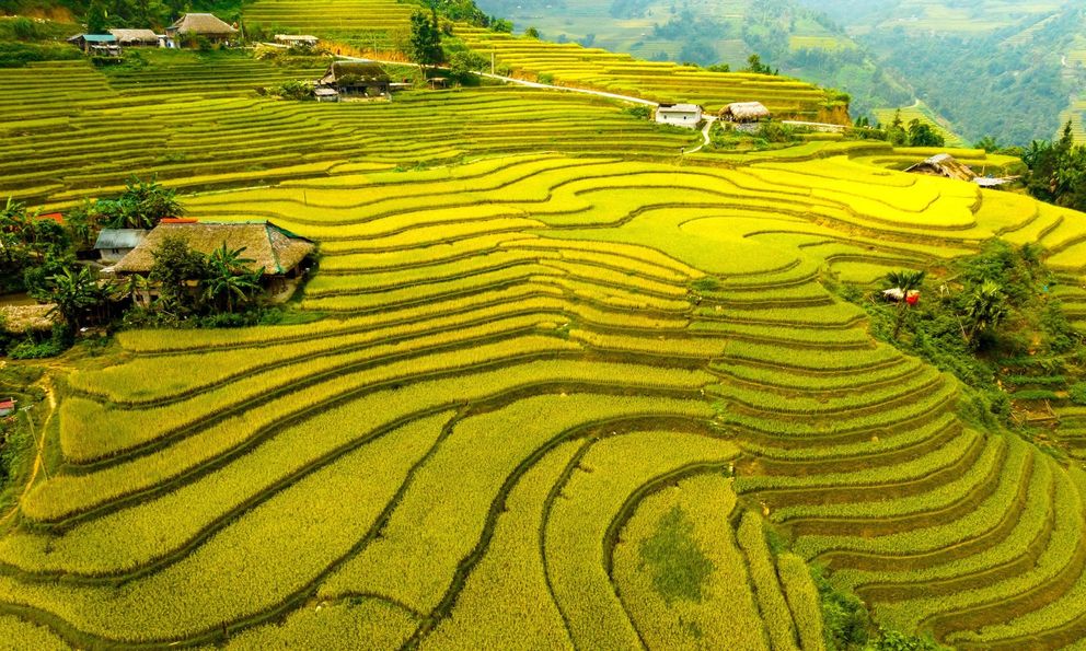 “Săn” tọa độ mới ở Hà Giang: Thác ẩn, sông ngọc, bản làng như phim Studio Ghibli!