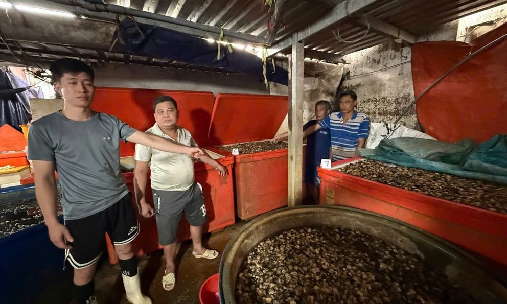 Kinh hoàng: Triệt phá đường dây ngâm 3.000 tấn thịt ốc bằng 500 tấn hóa chất 