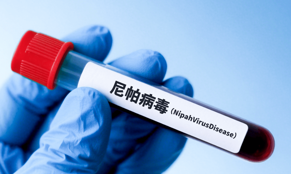 NÓNG: Các nhà khoa học Trung Quốc tìm ra thuốc kháng virus Nipah