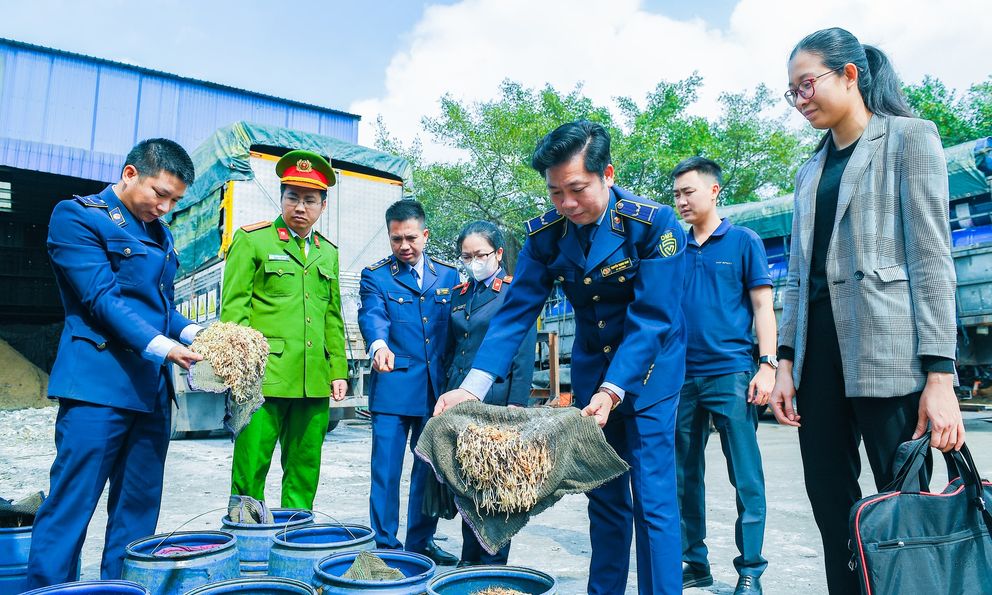 Nguy hại từ chất độc giúp giá đỗ 