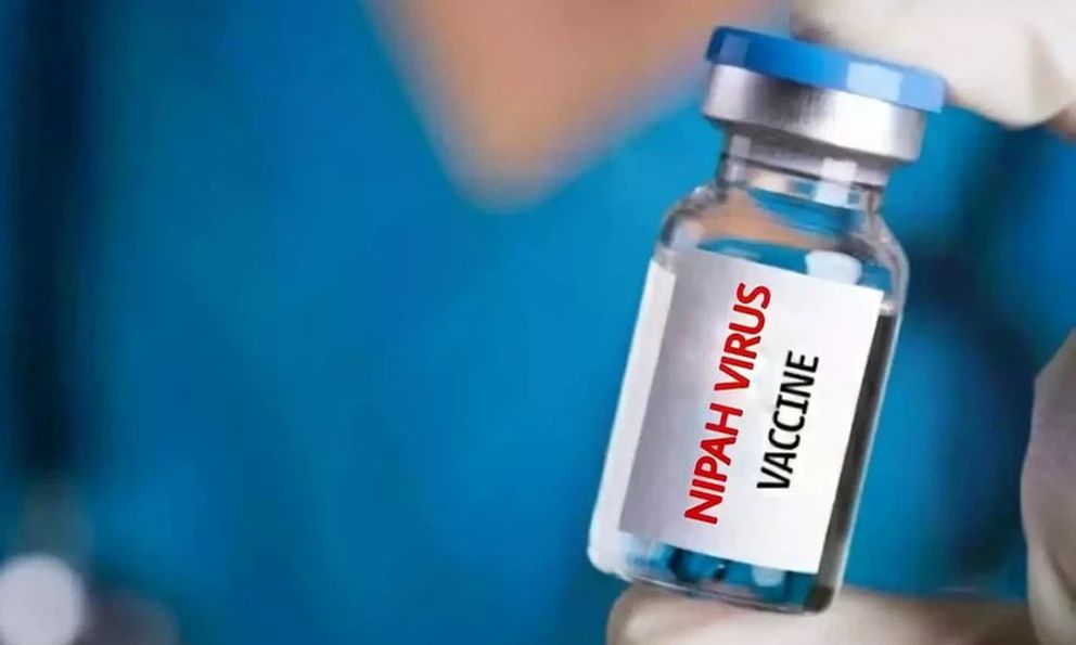 Virus tử thần có tỷ lệ tử vong tới 75% sắp có “lá chắn”: Nhật Bản thử nghiệm vaccine Nipah, cả châu Á nâng cảnh giác