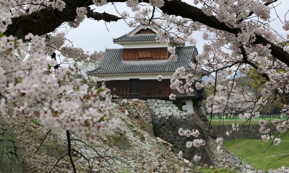 Mùa xuân gõ cửa Kyushu: Săn hoa anh đào sớm nhất Nhật Bản dành cho tín đồ du lịch
