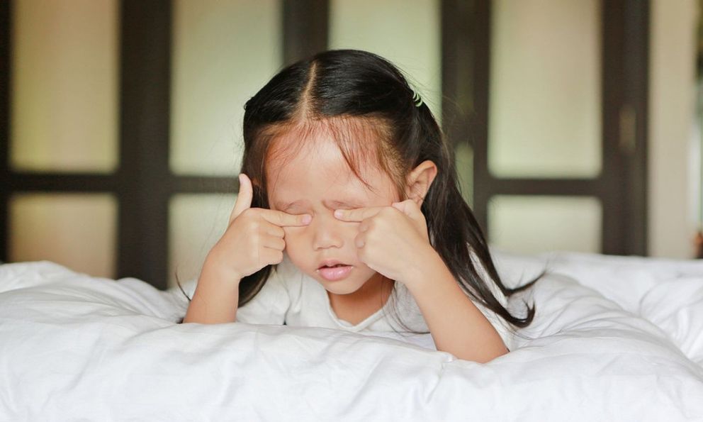 Chuyên gia cảnh báo nhiều trẻ đang “thoái hóa não” mỗi ngày: 3 nguyên nhân khiến phụ huynh giật mình, điện thoại chỉ đứng thứ hai