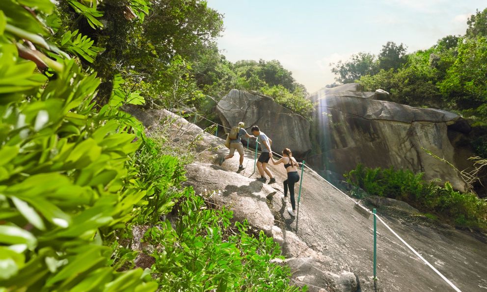 Corporate Retreat: Xu hướng “thuê trọn resort” cho những cuộc đối thoại chiến lược