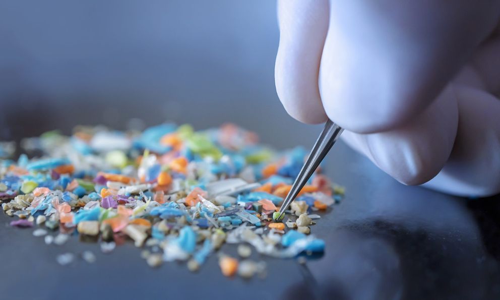 Món ăn quen thuộc này của người Việt có thể giúp “quét” vi nhựa khỏi cơ thể? Phát hiện mới từ giới khoa học gây chú ý