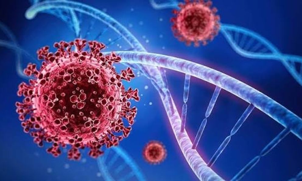 Bộ Y tế thông tin nóng về biến thể SARS-CoV-2 BA.3.2: Sẵn sàng ứng phó