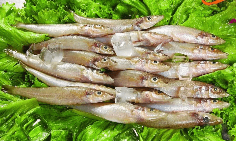 Nghiên cứu ĐH Harvard: 1 LOẠI cá siêu tốt, giúp giảm 31% nguy cơ ung thư đại trực tràng, Việt Nam rất sẵn và rẻ nhưng ít nhà ăn