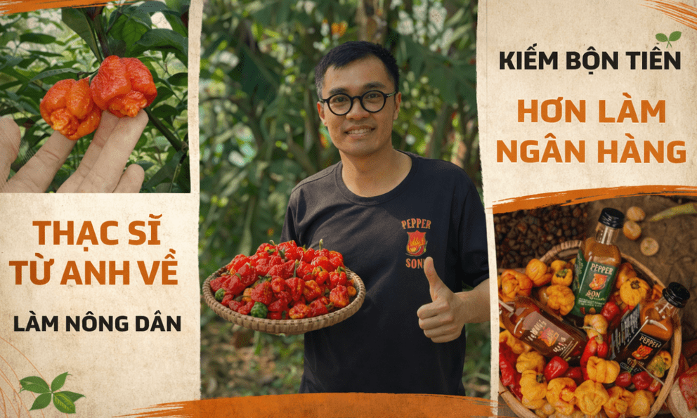 Bỏ lương nghìn USD về quê, thạc sĩ tài chính lập nghiệp với 