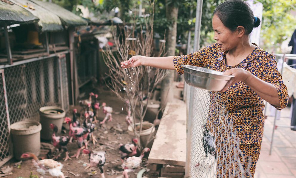 70% người Việt dự kiến làm việc sau nghỉ hưu, tại sao?