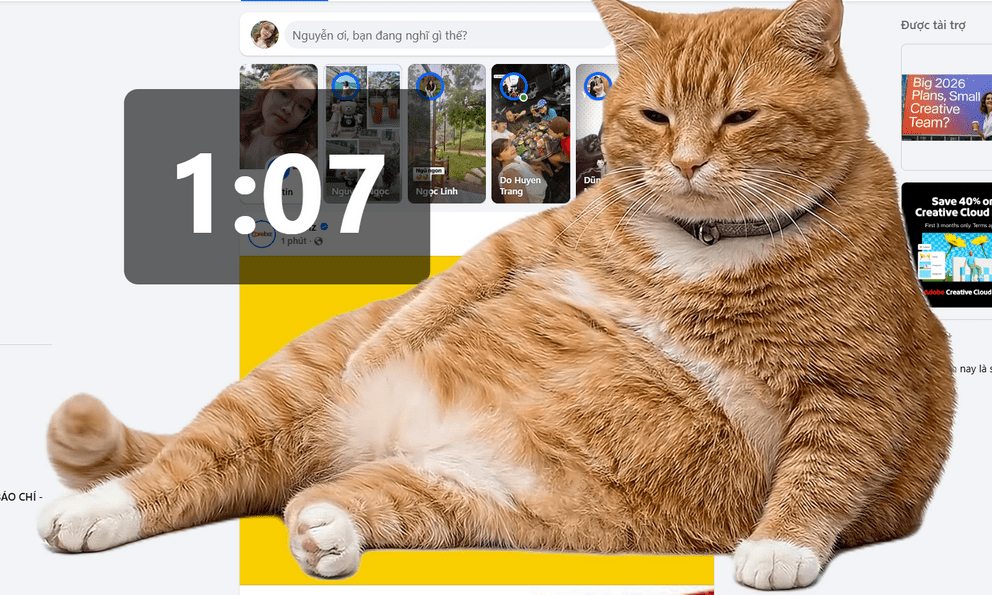 Tiện ích mới siêu HOT: Một chú mèo béo ngờ chiếm trọn màn hình, giúp người dùng “cai” lướt mạng vô thức