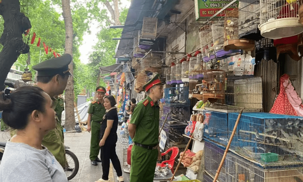 Hà Nội: Công an kiểm tra 3 hộ kinh doanh, thu giữ rất nhiều cá thể chim không rõ nguồn gốc