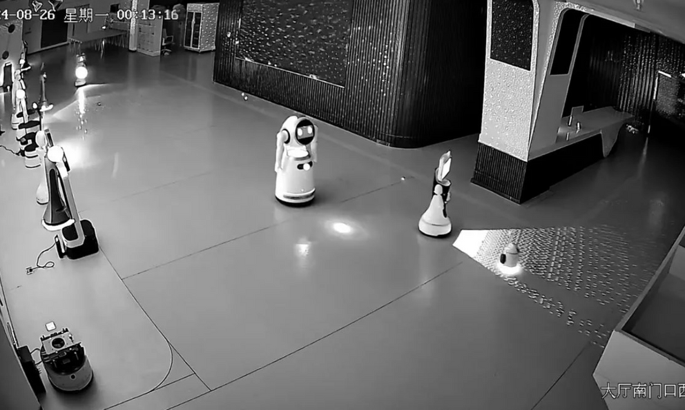 Robot tí hon 