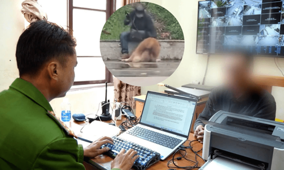 Củng cố hồ sơ xử lý người đàn ông bạo hành chú chó Alaska giữa Quảng trường Lâm Viên do 'bực vì chó không nghe lệnh'
