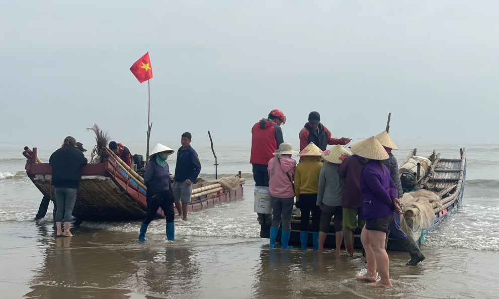 Ngư dân kiếm tiền triệu mỗi ngày nhờ mùa ruốc biển