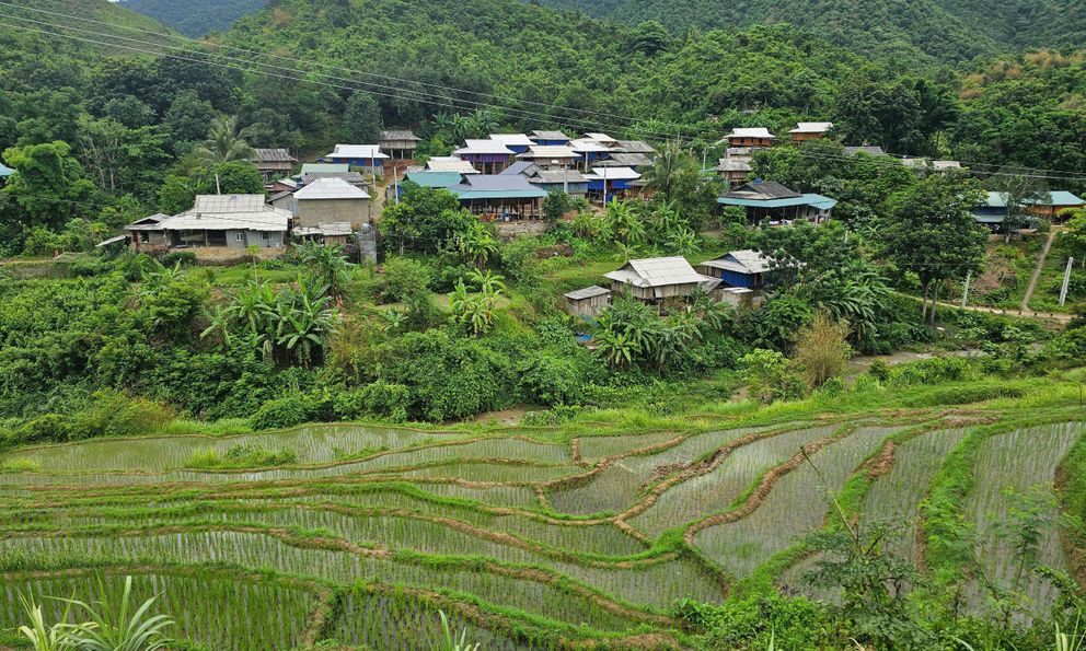 Những lá đơn thoát nghèo ở Mường Lát: Câu chuyện về sự vươn lên từ gian khó