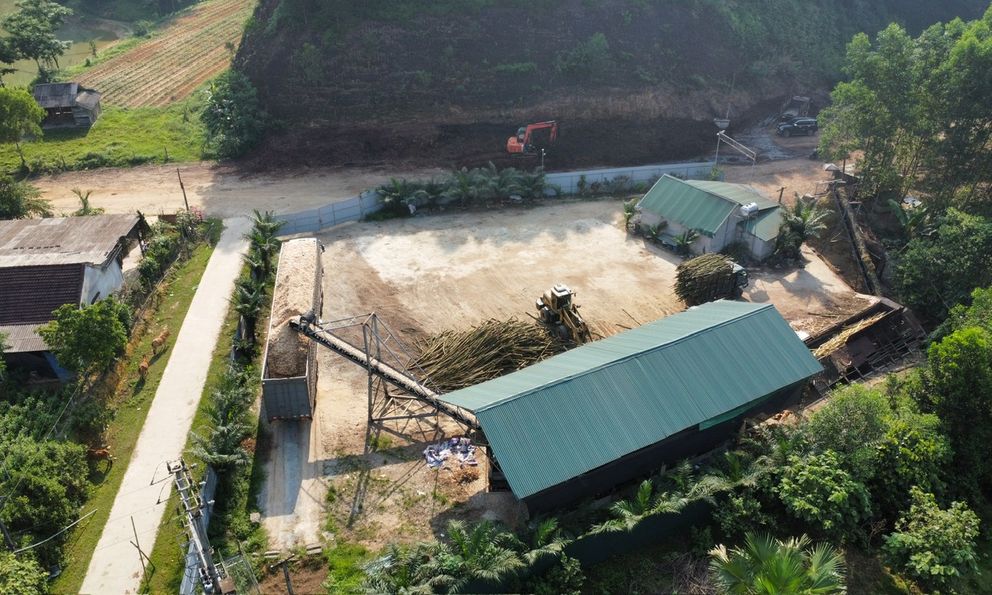 Một doanh nghiệp tiếp tục chế biến băm dăm 'chui' sau khi bị đình chỉ hoạt động