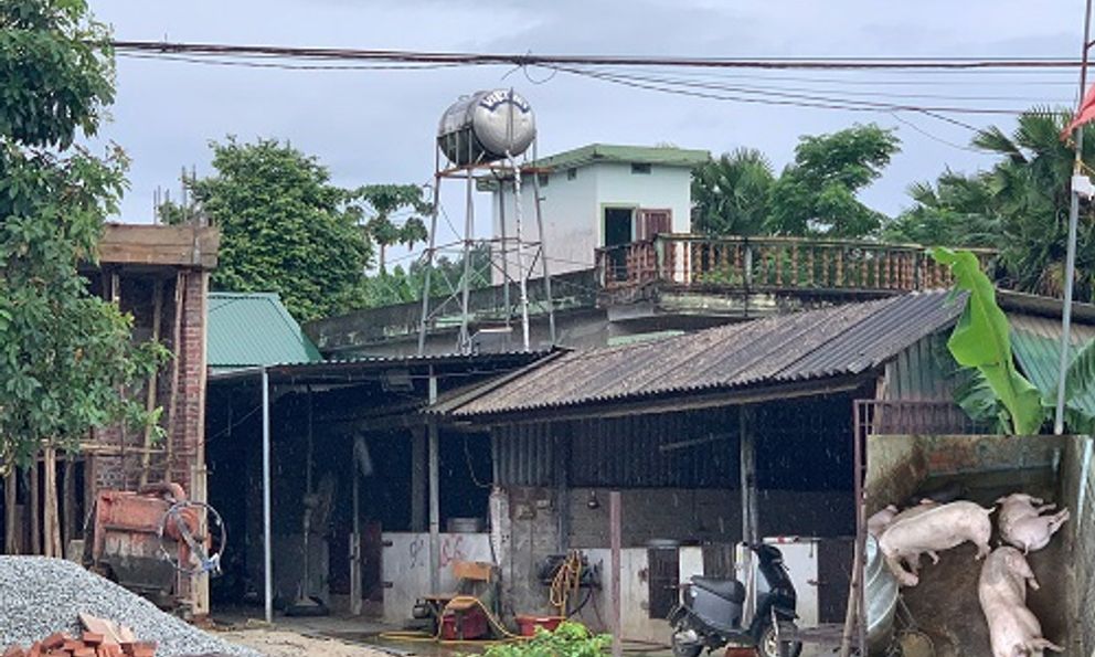 Hà Tĩnh: Dân 'kêu trời' vì khu chăn nuôi lợn bốc mùi hôi thối