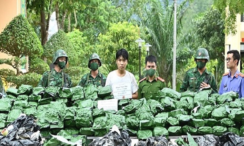 Bắt đối tượng vận chuyển, tàng trữ 240kg cần sa khô 