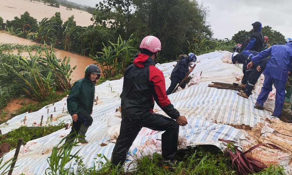 Phát hiện vết nứt đê sông Chu, chính quyền huy động lực lượng ứng cứu