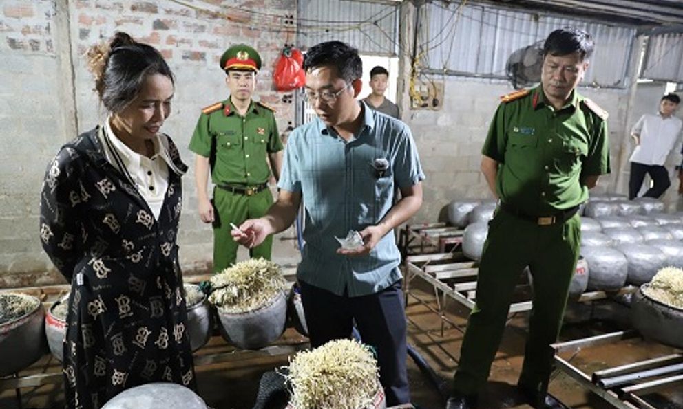 Phát hiện cơ sở dùng chất cấm cho giá đỗ tại Hà Tĩnh