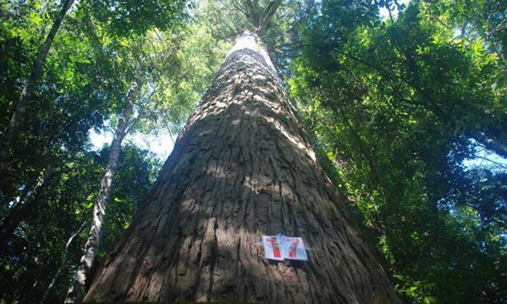 Khu bảo tồn thiên nhiên Xuân Liên trở thành Vườn quốc gia