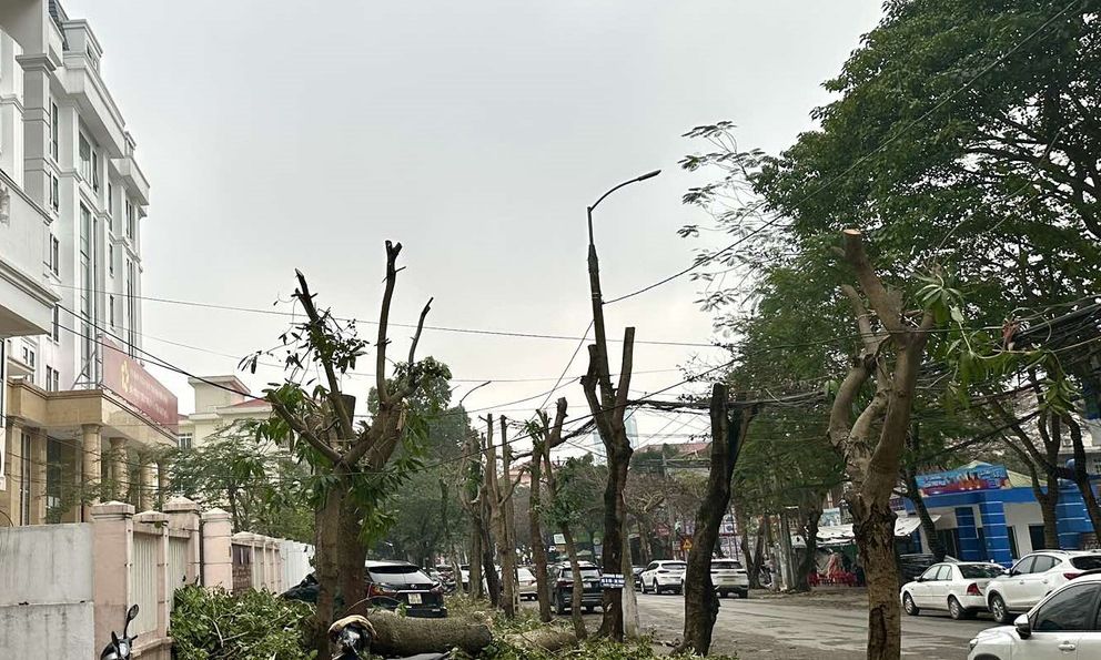 Nghệ An: Đầu tư hơn 74 tỷ đồng nâng cấp đường Đinh Công Tráng, TP Vinh