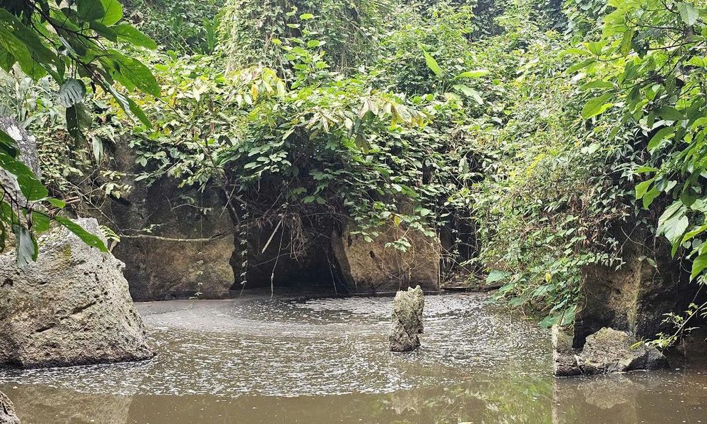 Phát hiện nước suối Lèn Cò Noóng ô nhiễm do nước thải từ trại lợn