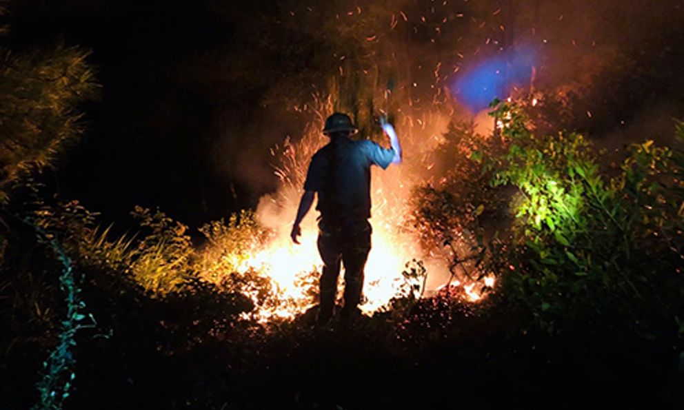 Nghệ An: Hơn 300 người tham gia chữa cháy rừng trong đêm