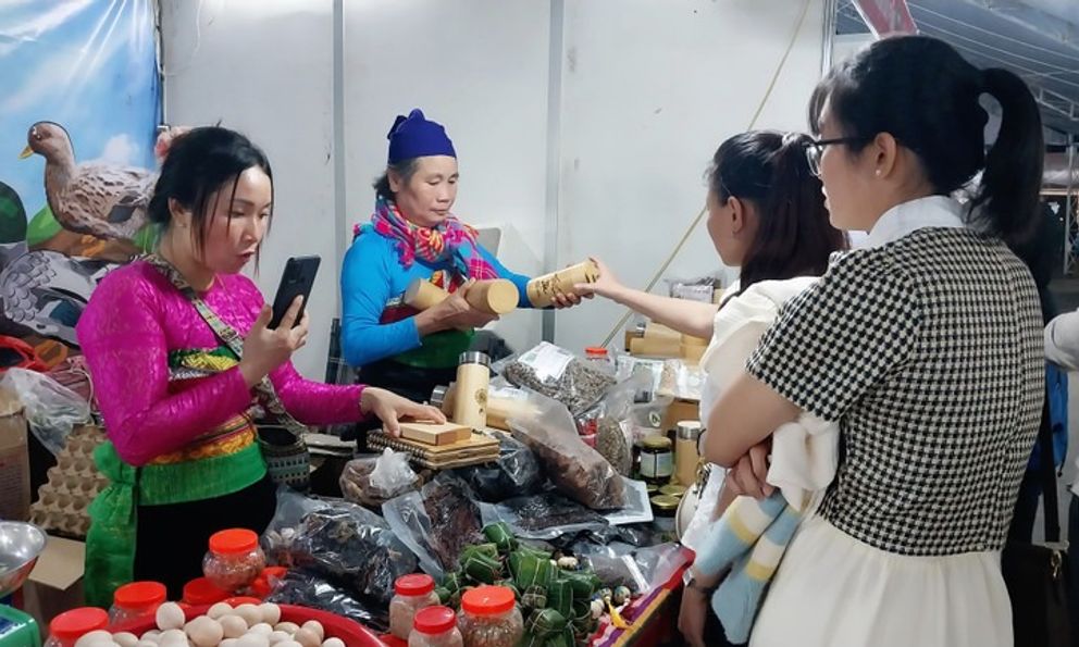 Nghệ An xem xét, sửa đổi nâng mức hỗ trợ hoạt động xúc tiến thương mại hàng trăm sản phẩm OCOP