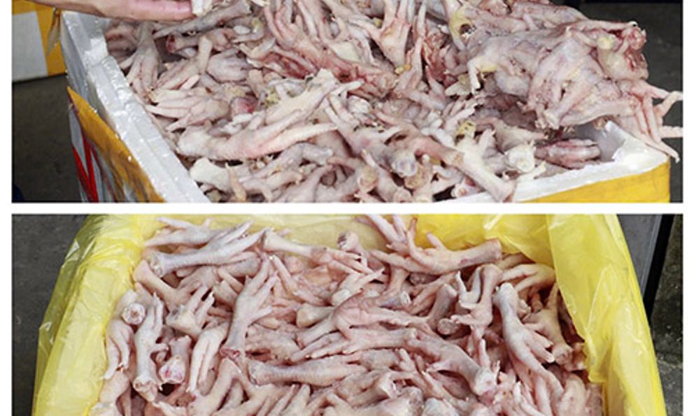 Nghệ An: Phát hiện kho đông lạnh chứa 3.600 chân gà không rõ nguồn gốc