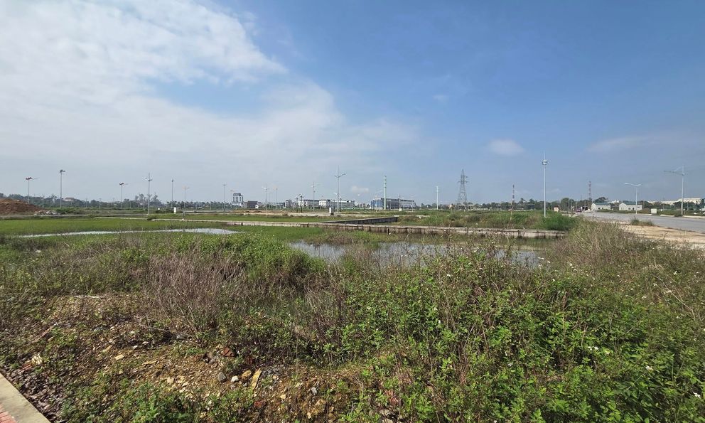 Đấu giá đất ở xã Đô Lương, Nghệ An: Một lô đất có giá khởi điểm 12 tỷ đồng