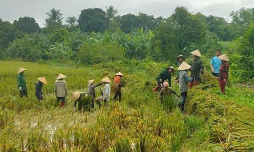 Xuân Yêu Thương mùa 8 sẽ mang Tết ấm về với người dân xã Minh Hợp