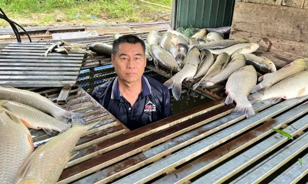 Cá chết hàng loạt trên sông Lam, lan nhanh từ Anh Sơn xuống Bạch Ngọc