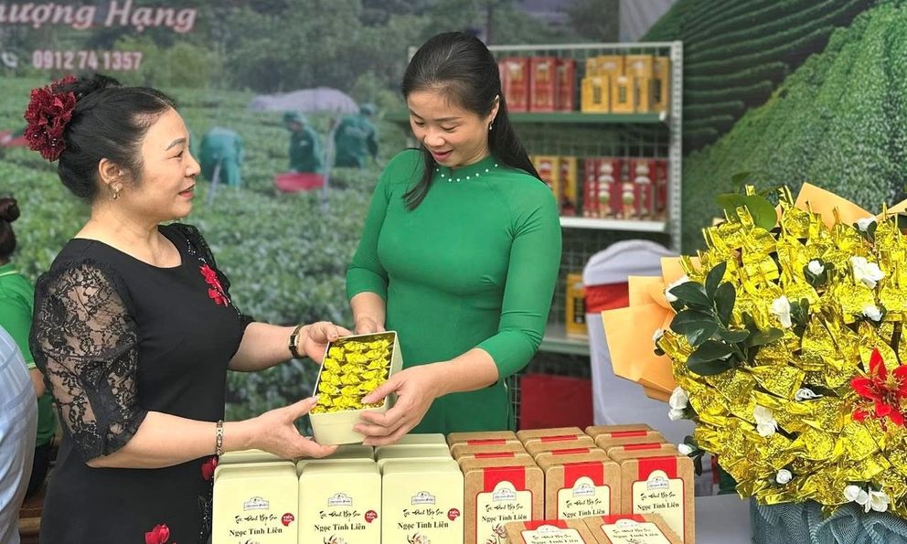 Hành trình ba năm đưa Trà Sen Ngọc Tỉnh Liên từ dấu ấn địa phương đến sản phẩm tiêu biểu cấp quốc gia