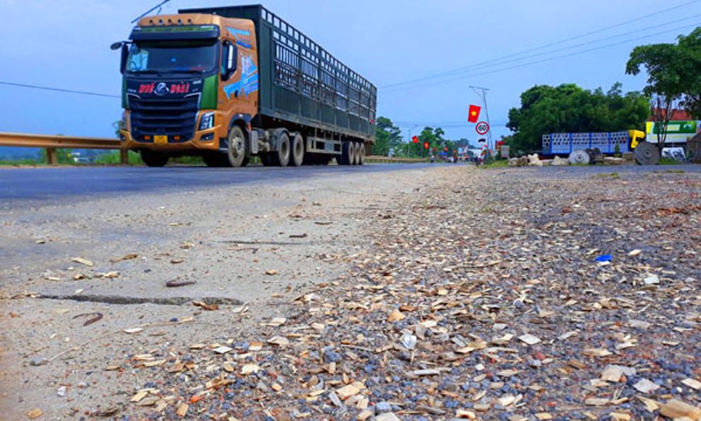 Nghệ An: Gỗ dăm rơi vãi, phủ kín đường mòn Hồ Chí Minh