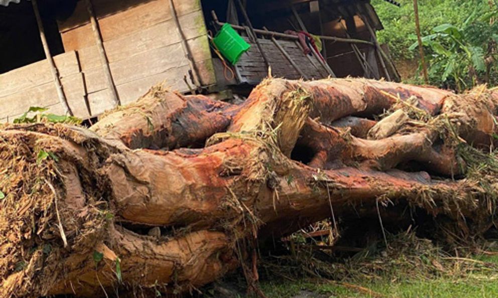 Mưa lớn trong đêm gây lũ quét tàn phá bản làng