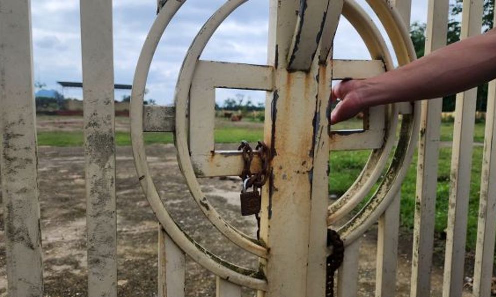 Nghệ An: Sân vận động xã bỏ hoang, trở thành nơi chăn thả gia súc 